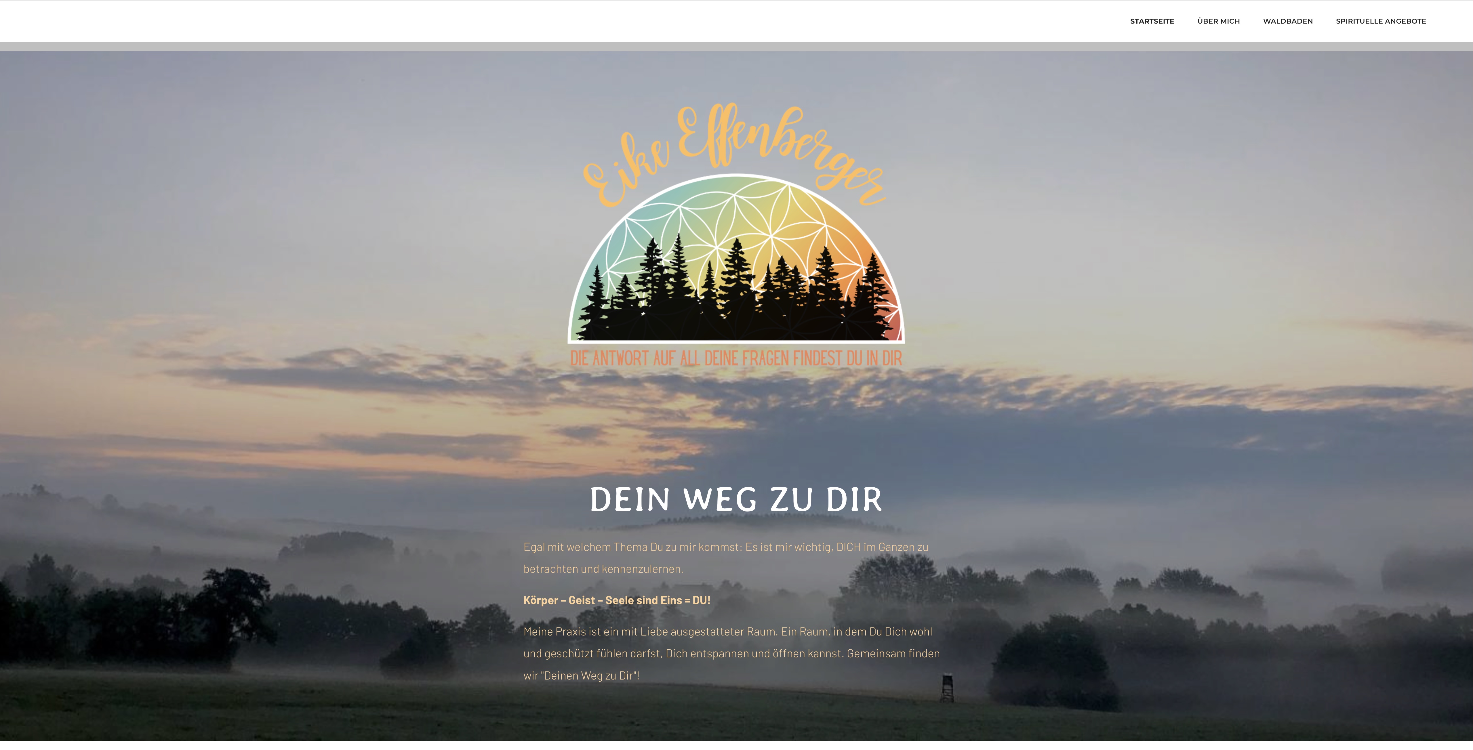 Homepage von Eike Effenberger vor dem Relaunch